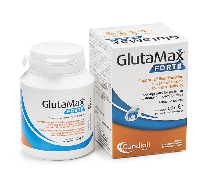 GlutaMax Forte tabets (20 tabs)