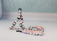 harness+leashes BO-1233