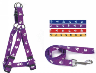 pet harness+pet leash BO-1032-10