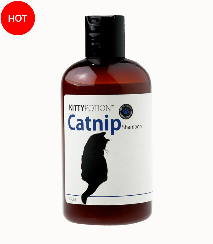 Kitty Potion Catnip Shampoo 250ml