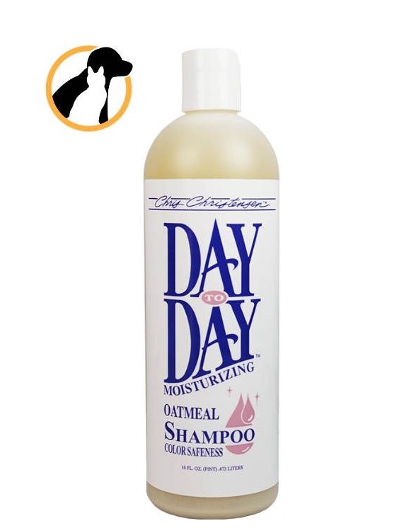 Day to Day Shampoo(16oz)