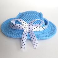 Pet Hat Blue Color Medium Size JGS-007