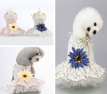 Pet Girl Blue Flower YP-201901012 (S)