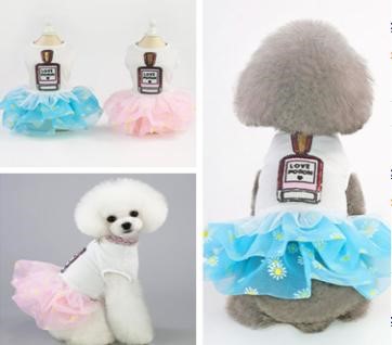 Pet Girl Blue Perfume YP-201901015 (XS)