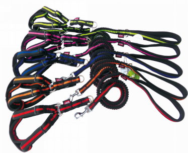 Pet H-Harness &amp; Leash ZC1046 (S)