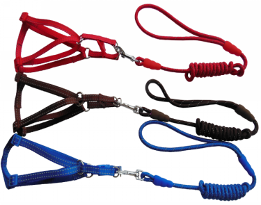 Pet H-Harness &amp; Leash ZC1127(S)