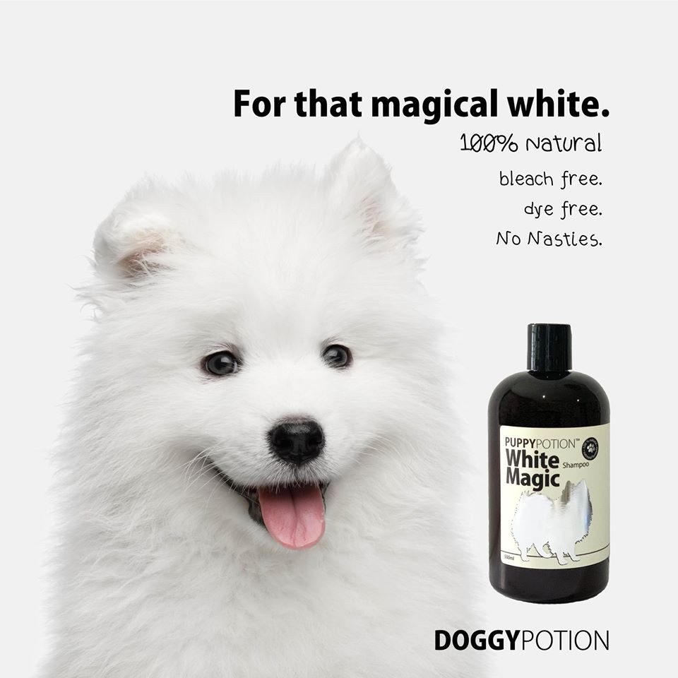 Puppy Potion White Magic Shampoo (500ml)