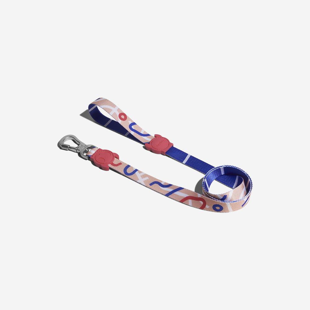 ZEEDOG PINNA LEASH LARGE