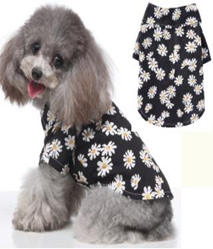 Pet Daisy Shirt  Black Color M-size  MQ-XZCS03