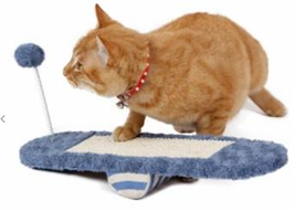 Cat Scratcher Skate Blue LWS160010-BLU