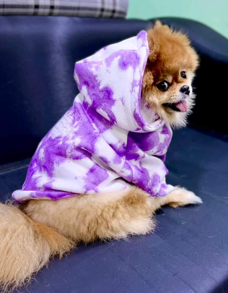 Pets Hoodie Pawsciety (S)