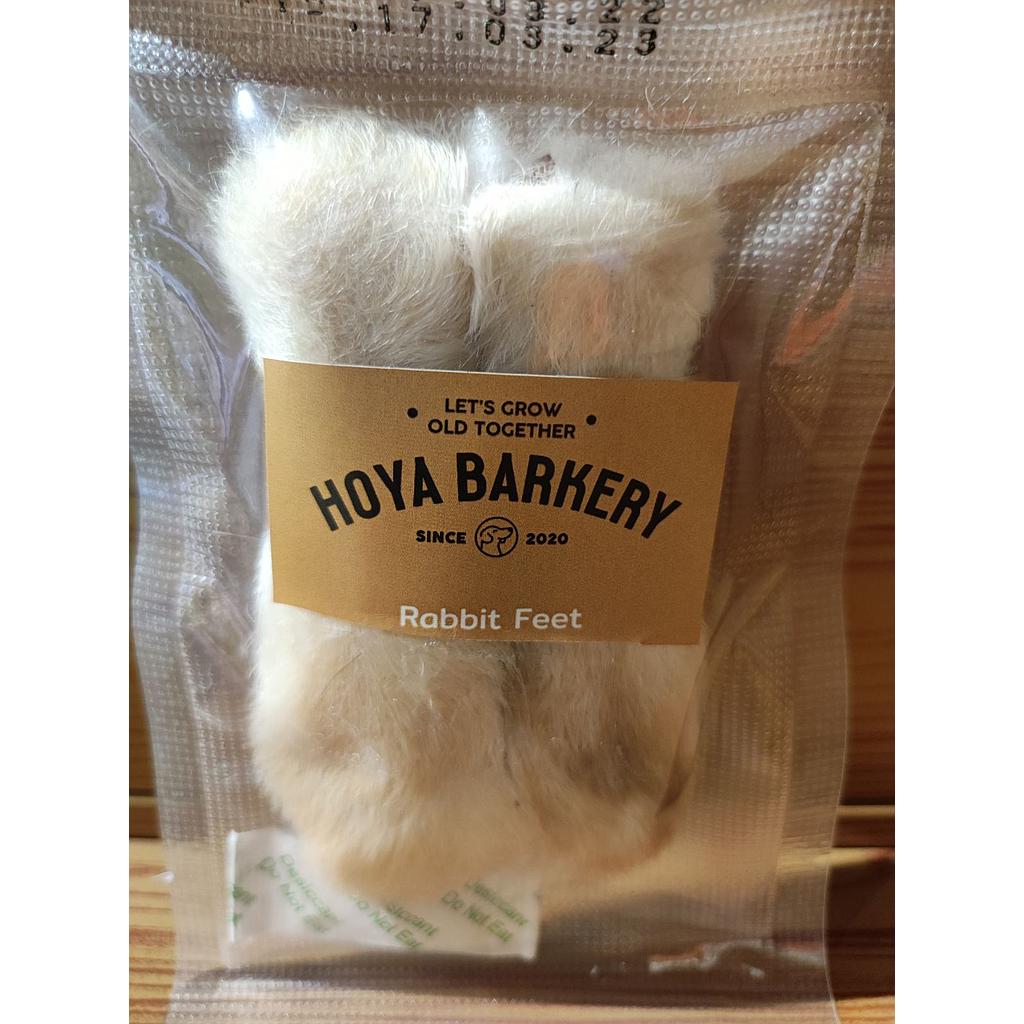 Hoya Barkery Rabbit Feet