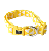 Everking Dog Collar (S)0102-1AL (37cm - 60cm)