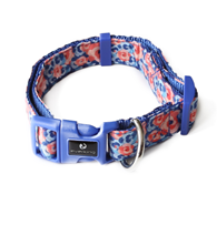 Everking Dog Collar(M)0103-4AM (29cm - 43cm)
