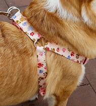 Everking Dog Harness(S)0103-5CS (35cm-50cm)