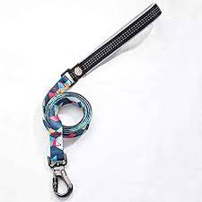 Everking Dog Leash(S)0202-6BS (1.5cm x 150cm)