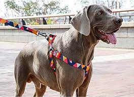 Everking Dog Harness(S)0202-7CS (35cm-50cm)