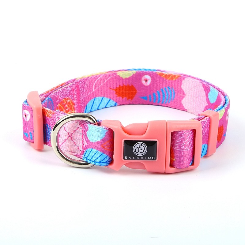 Everking Dog Collar(M)3005-3AM (29cm - 43cm)