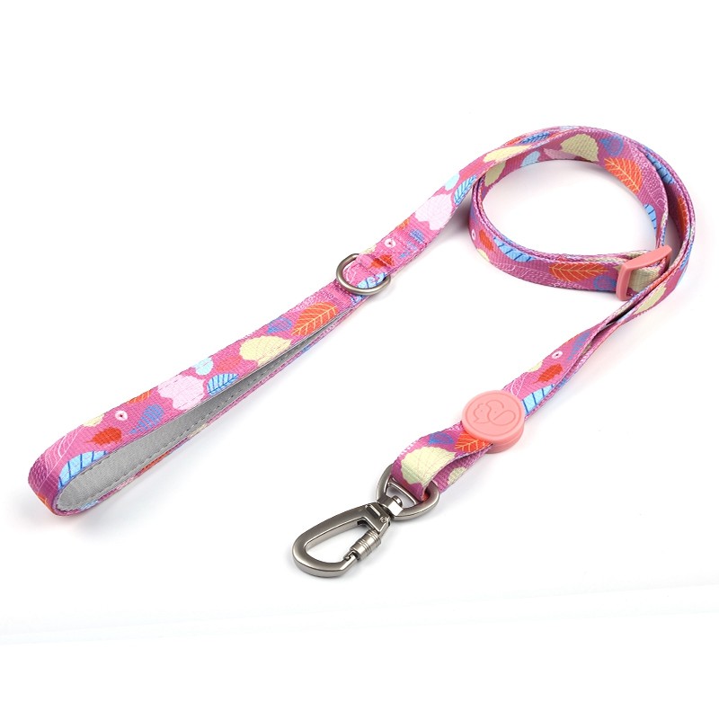 Everking Dog Leash(S)3005-3BS (1.5cm x 100-150cm )