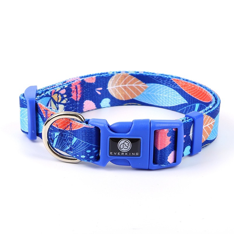 Everking Dog Collar(M)3005-4ASM (29cm - 43cm)