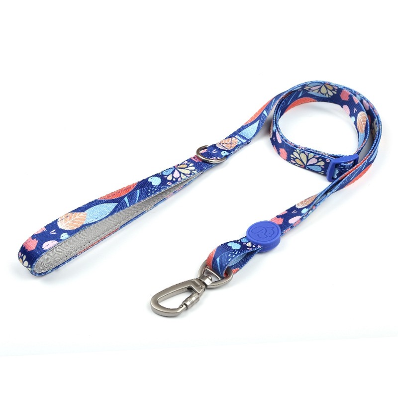 Everking Dog Leash(L)3005-4BL (2.5cm x 100-150cm )