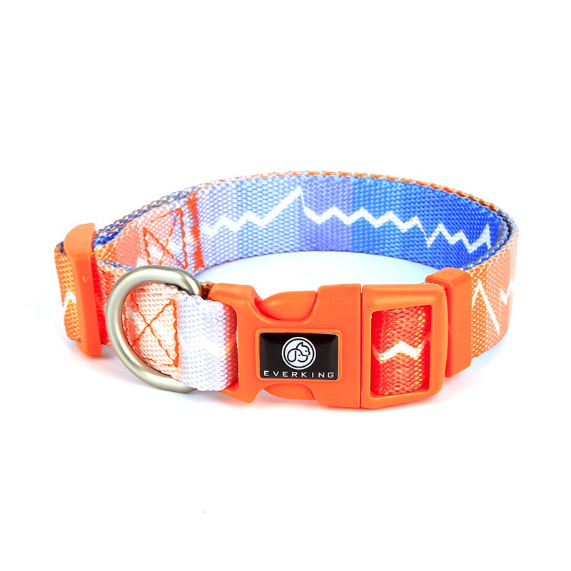 Everking Dog Collar (M)3008-4AM (29cm - 43cm)