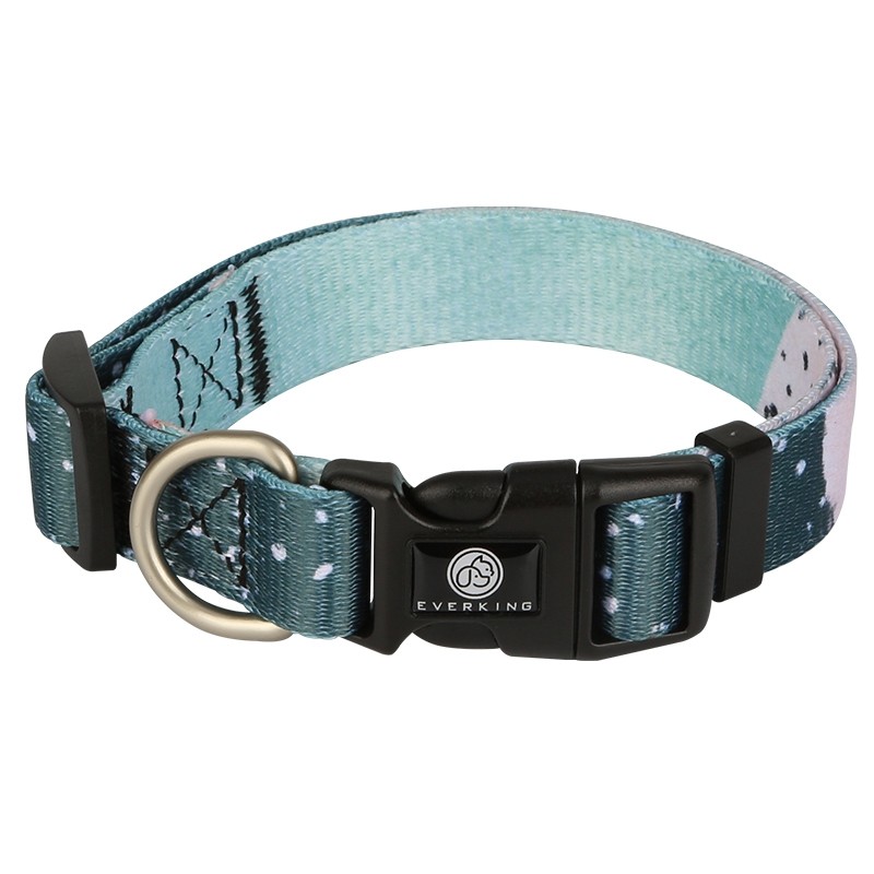 Everking Dog Collar (M)4010-1AM (29cm - 43cm)