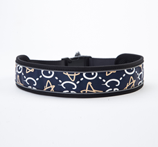Everking Dog Collar (L)9004-2AL (45cm - 65cm)