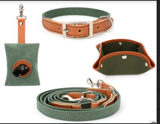 Canvas, leather head Collar XS+ single head traction + folding bowl + poop picking bag (green)- A2012(xs)