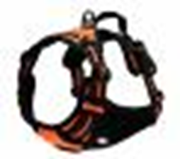 FRONT RANGE NO PULL DOG HARNESS Horizontal Handle Orange (XL)SDXB-4