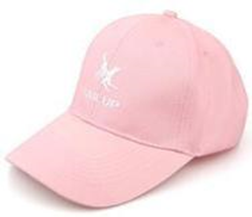 Pet MASTER HAT Pink (M) QZMH-1