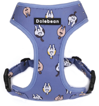 Pet Harness &amp; Leash Blue (M) KLN20069