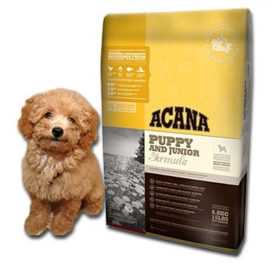 Acana Puppy &amp; Junior Dog-1kg