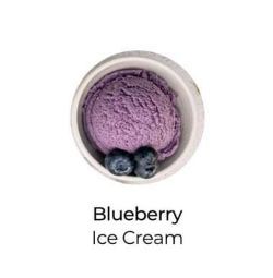 Furby Delights Premium ice-cream(Blueberry)