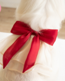 Pet Korea Style Red Bow Dress WCXZ-10 (S)