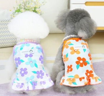 Pet Korea Style Flower Dress Orange (M)