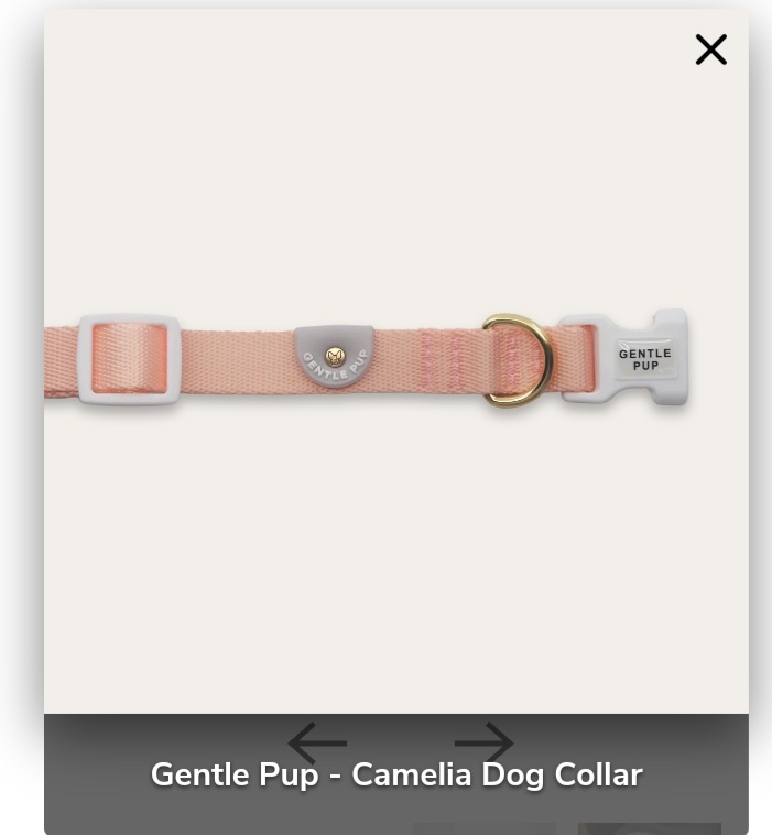 Gentle Pup - Camelia Dog Collar S