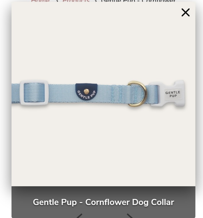 Gentle Pup - Cornflower Dog Collar S