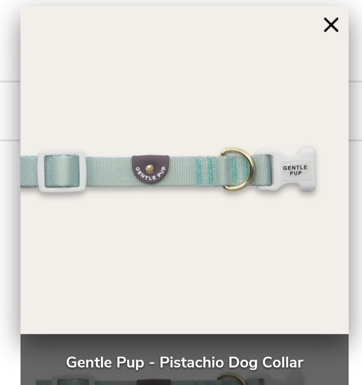 Gentle Pup - Pistachio Dog Collar L