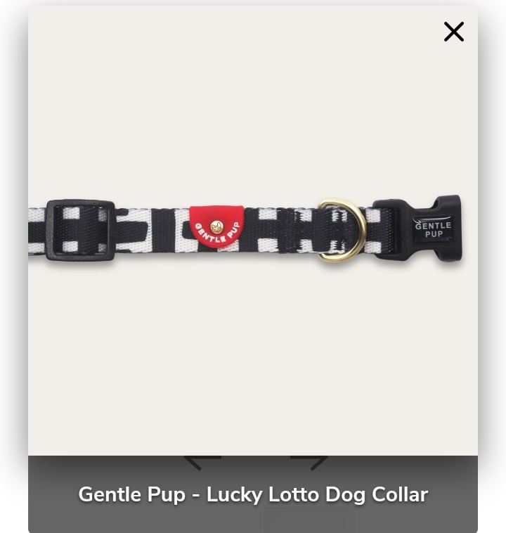 Gentle Pup - Lucky Lotto Dog Collar XS