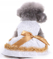 Pet Girl White Dress MQ-XZD297 (M)