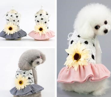 Pet Girl Sunflower Black YP-201901021 (XL)