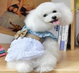 Pet Girl Washed Denim Dress E27 (XL)