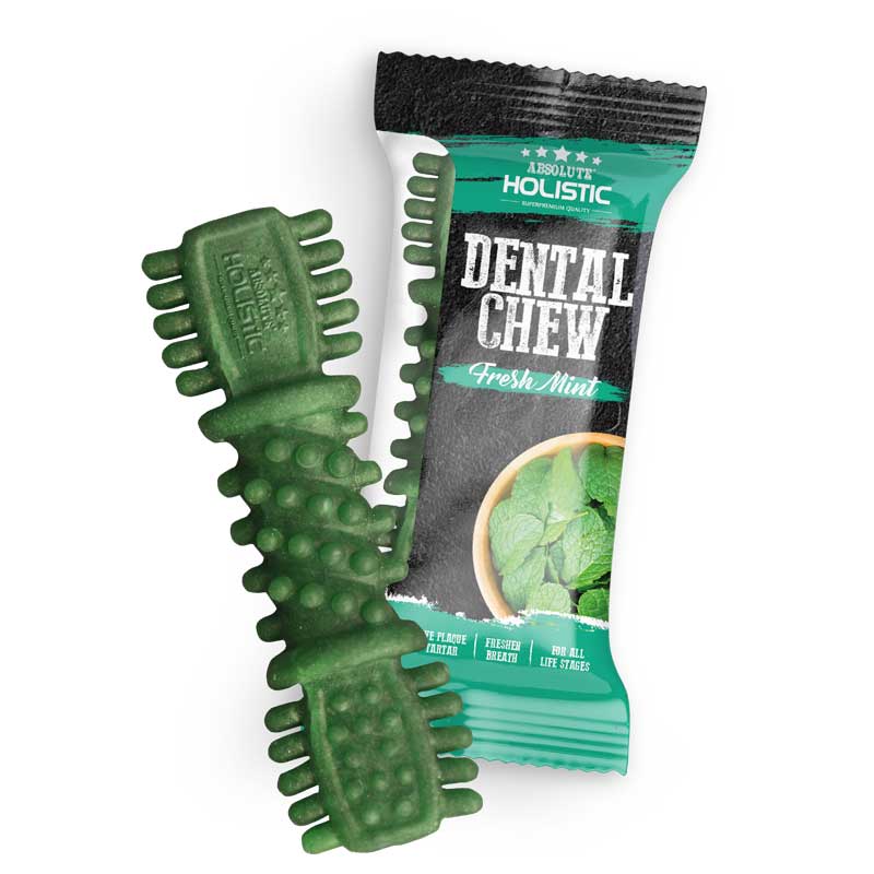Absolute Fresh Mint Dental Chew 4&quot; (25g/pc)
